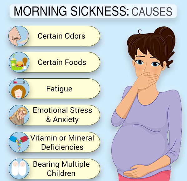 Pregnancy Morning Sickness